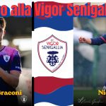 Doppia conferma in casa Vigor Senigallia: il sole splende sui rinnovi di Gambini e Braconi